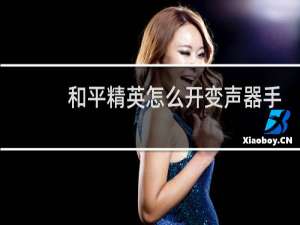 和平精英怎么开变声器手机版(和平精英开麦变声器)