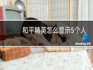 和平精英怎么显示5个人(和平精英怎么显示个人战绩)