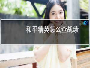 和平精英怎么查战绩