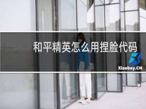 和平精英怎么用捏脸代码(和平精英捏脸最好看的男角色)