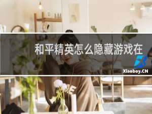 和平精英怎么隐藏游戏在线(和平精英国际服游戏在线下载)