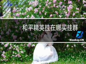 和平精英挂在哪买挂群