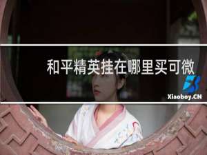 和平精英挂在哪里买可微信支付