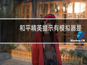 和平精英提示有模拟器是什么意思