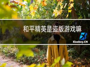和平精英是盗版游戏嘛