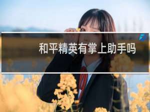 和平精英有掌上助手吗(和平精英助手怎么使用)