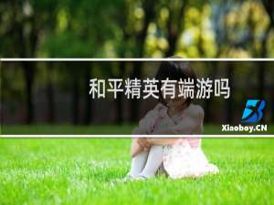 和平精英有端游吗(和平精英手游和端游)