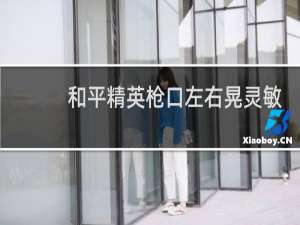 和平精英枪口左右晃灵敏度怎么调