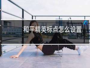 和平精英标点怎么设置(和平精英的标点怎么设置)