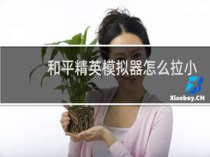 和平精英模拟器怎么拉小眼睛(和平精英模拟器灵敏度怎么调最稳)