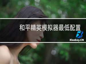 和平精英模拟器最低配置(和平精英模拟器最低配置要求)