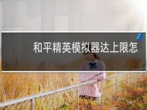 和平精英模拟器达上限怎么解决