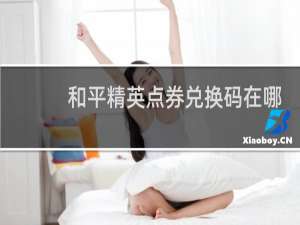 和平精英点券兑换码在哪输入(和平精英在哪里输入兑换码)