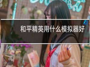 和平精英用什么模拟器好