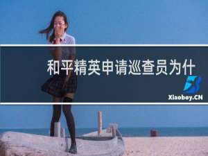 和平精英申请巡查员为什么点不了