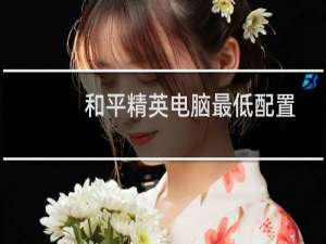 和平精英电脑最低配置(和平精英电脑端最低配置)