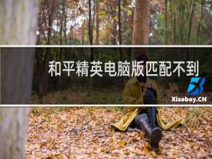 和平精英电脑版匹配不到人怎么办
