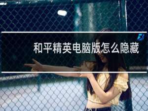 和平精英电脑版怎么隐藏按键图标