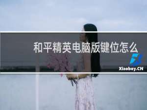 和平精英电脑版键位怎么失灵了
