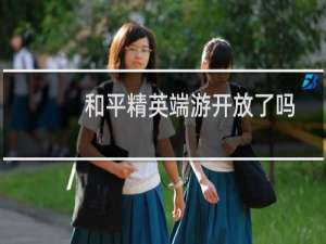 和平精英端游开放了吗