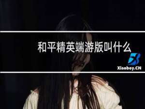 和平精英端游版叫什么