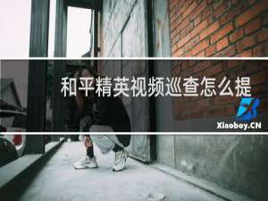 和平精英视频巡查怎么提高正确率