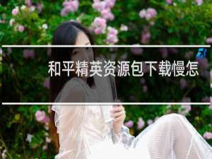 和平精英资源包下载慢怎么办