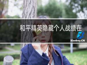 和平精英隐藏个人战绩在打开还可以看见本场战绩吗