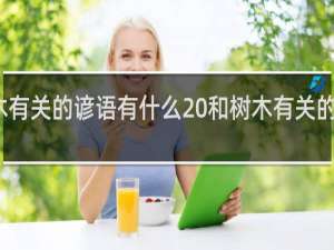 和树木有关的谚语有什么 和树木有关的谚语有哪些