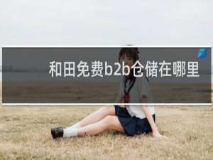 和田免费b2b仓储在哪里
