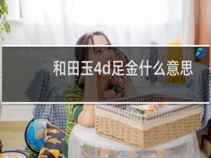 和田玉4d足金什么意思