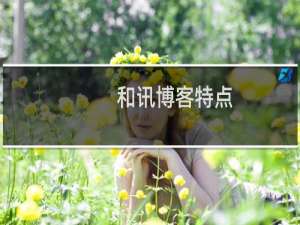 和讯博客特点