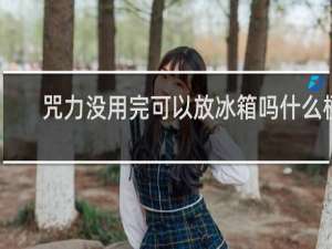 咒力没用完可以放冰箱吗什么梗