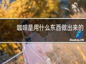 咖啡是用什么东西做出来的