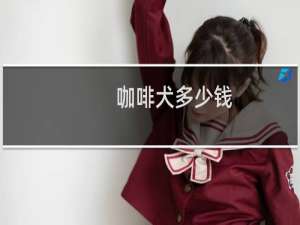 咖啡犬多少钱
