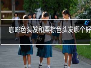 咖啡色头发和栗棕色头发哪个好看