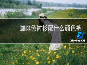 咖啡色衬衫配什么颜色裤子好看