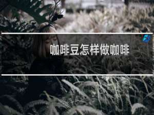 咖啡豆怎样做咖啡