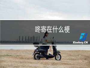 咚寄在什么梗