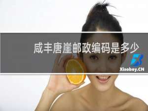 咸丰唐崖邮政编码是多少