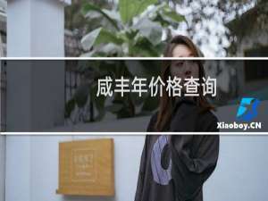 咸丰年价格查询