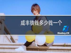 咸丰铁钱多少钱一个