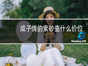 咸子情的紫砂壶什么价位
