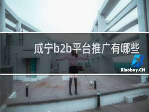 咸宁b2b平台推广有哪些