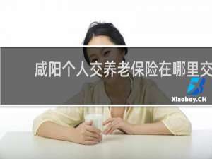 咸阳个人交养老保险在哪里交