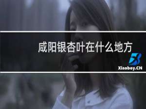 咸阳银杏叶在什么地方