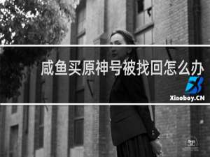 咸鱼买原神号被找回怎么办