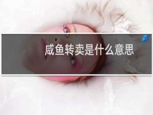 咸鱼转卖是什么意思