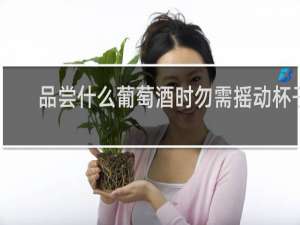 品尝什么葡萄酒时勿需摇动杯子
