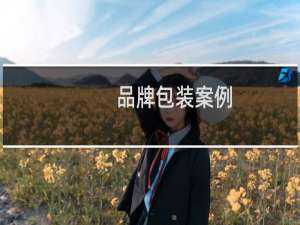 品牌包装案例